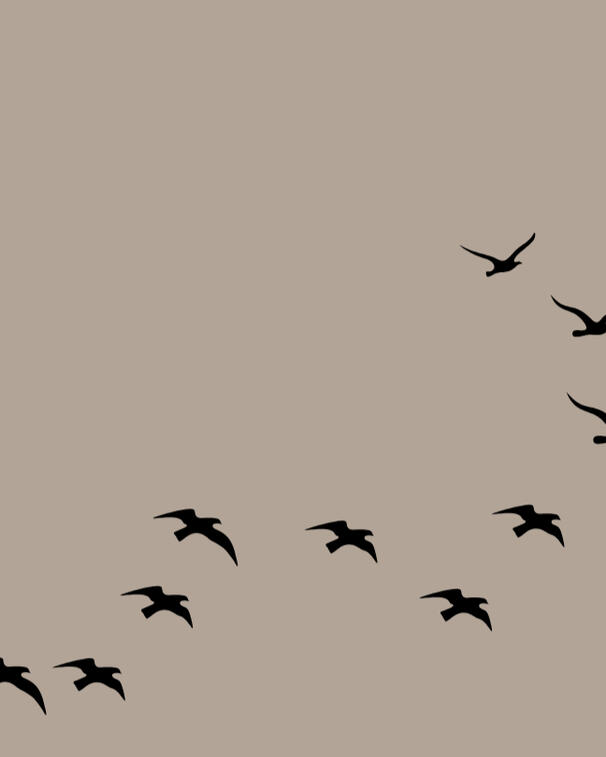 Розстановка під ключ: онлайн/Варшава, 300 EUR; для деталей натисніть сюди